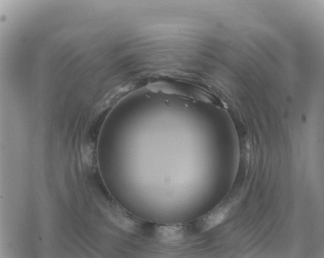 X0000074340139200609011637