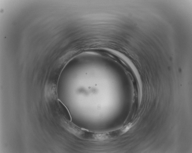 X0000074340141200609011637