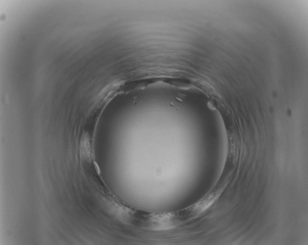 X0000074340143200609011637