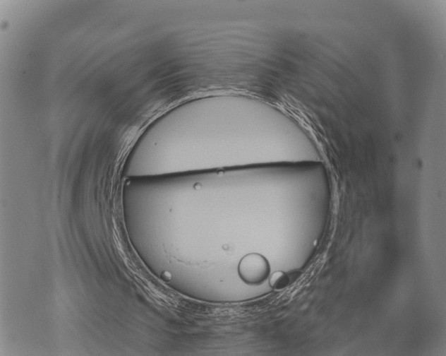 X0000074340145200609011636