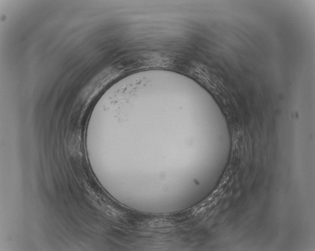 X0000074340146200609011636