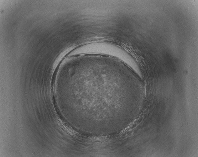 X0000074340147200609011636