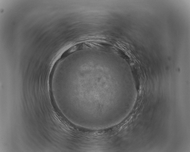 X0000074340148200609011636