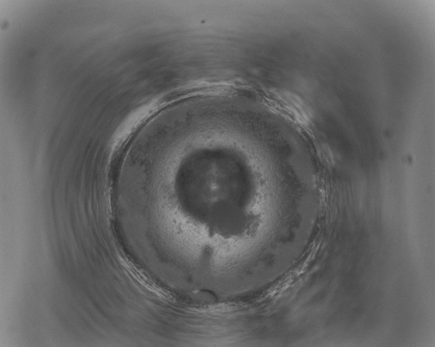 X0000074340149200609011636