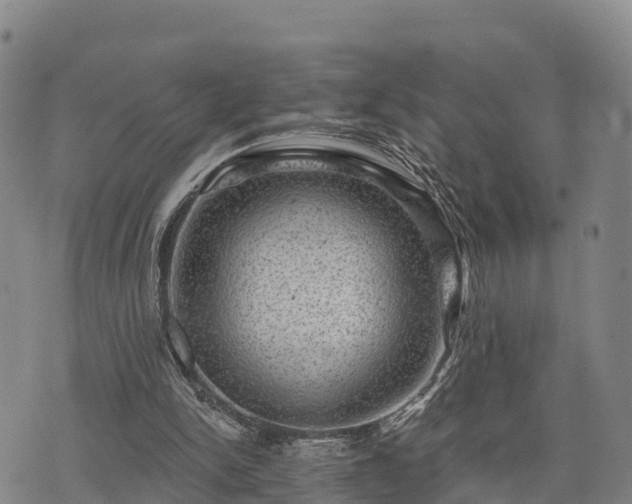 X0000074340150200609011637