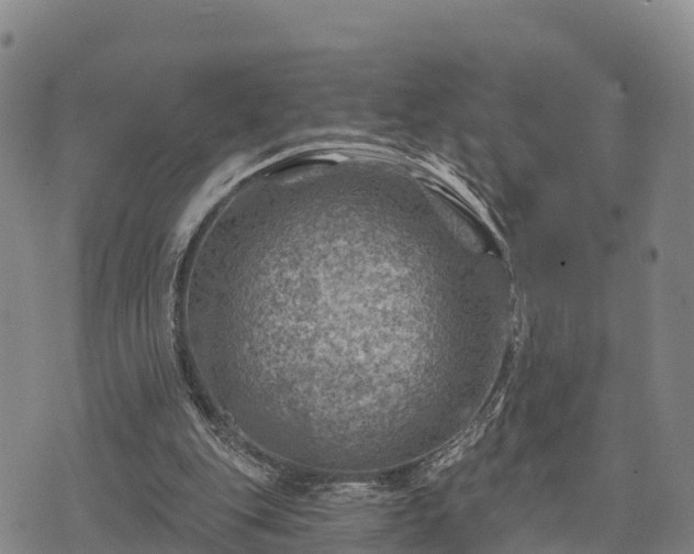 X0000074340151200609011637