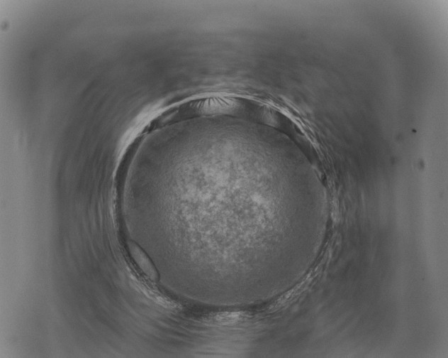 X0000074340152200609011637