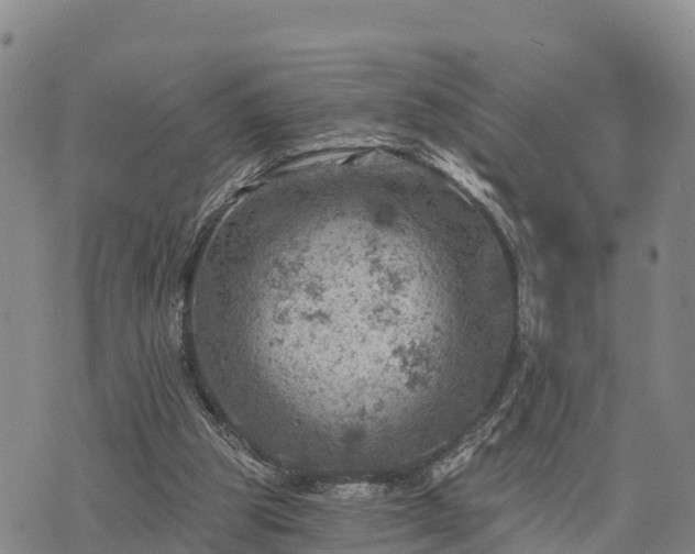 X0000074340153200609011637