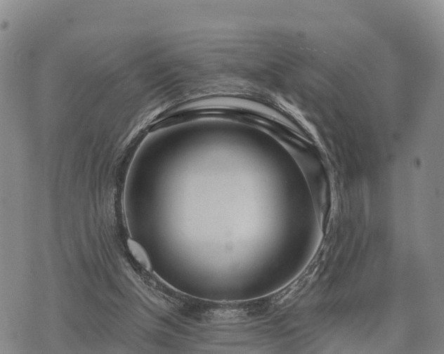 X0000074340154200609011637