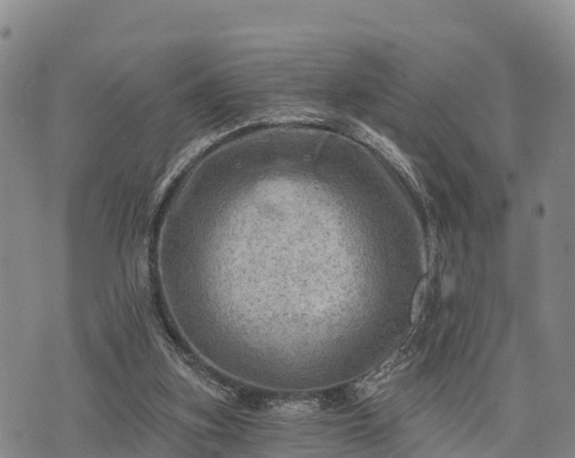 X0000074340155200609011637