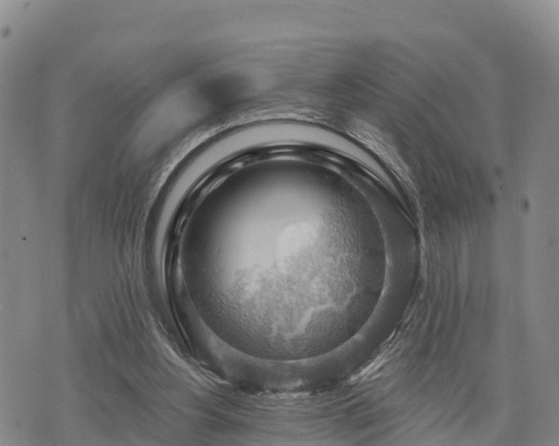 X0000074340156200609011637