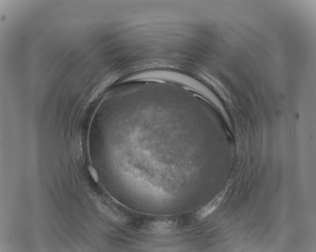 X0000074340158200609011637