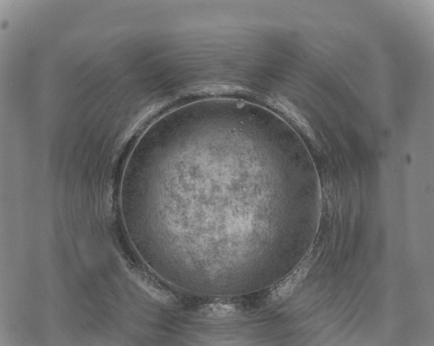 X0000074340159200609011637