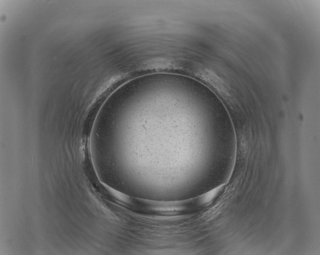 X0000074340160200609011637