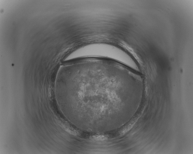 X0000074340161200609011637