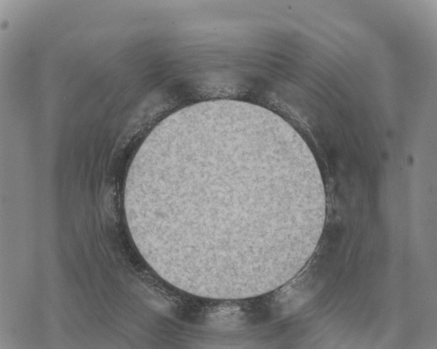 X0000074340162200609011637