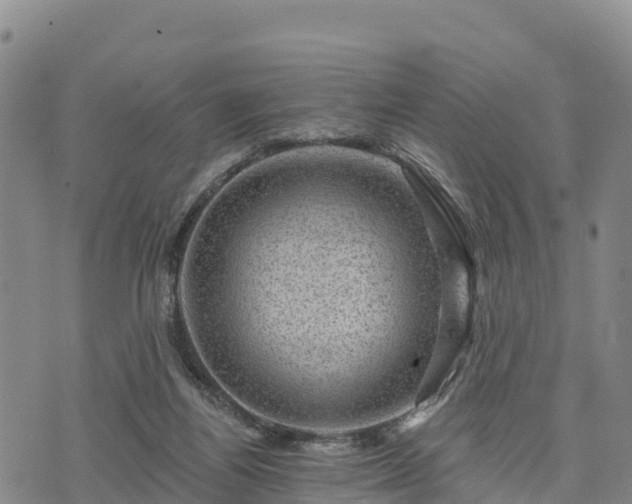 X0000074340164200609011637