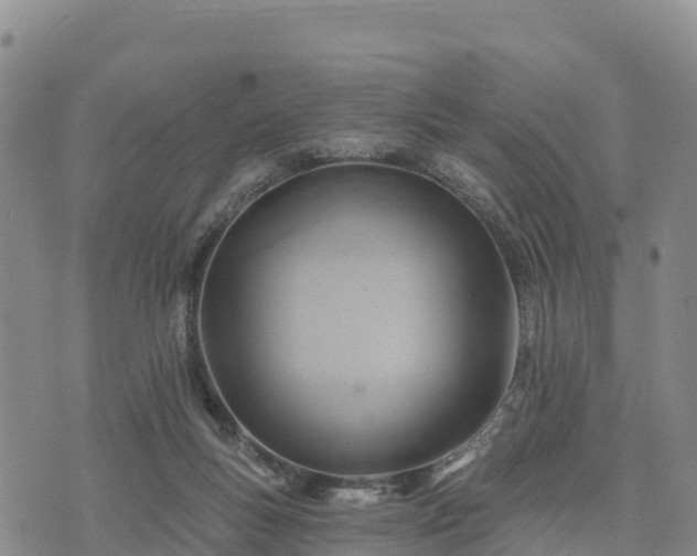 X0000074340167200609011637