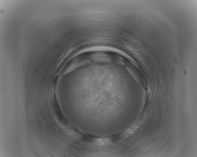 X0000074340168200609011637