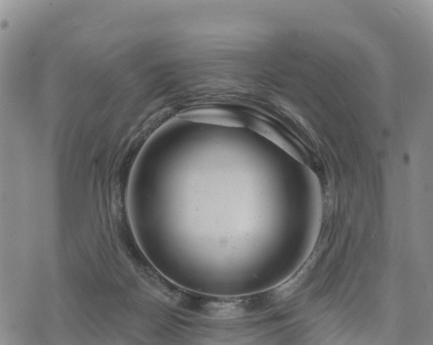 X0000074340170200609011637