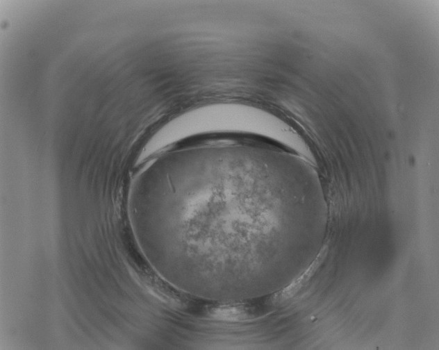 X0000074340171200609011637