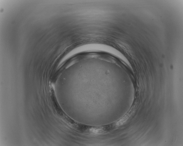 X0000074340172200609011637