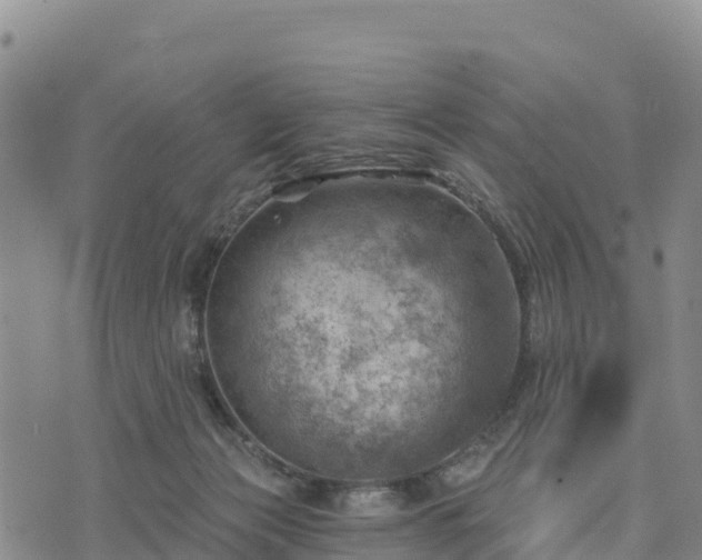 X0000074340173200609011637