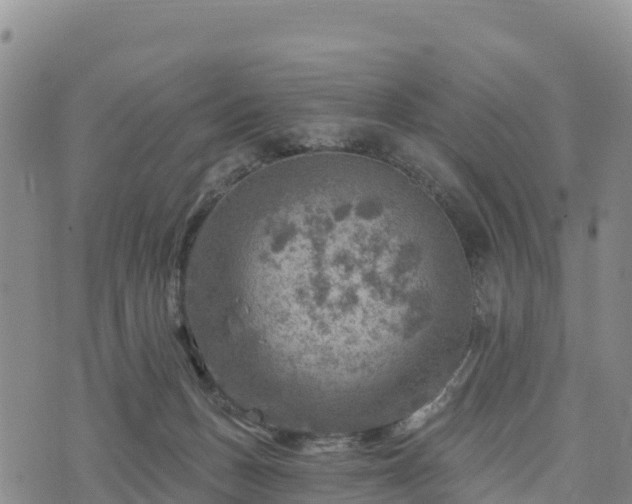 X0000074340175200609011637