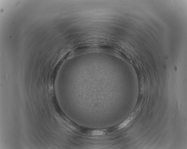 X0000074340176200609011637