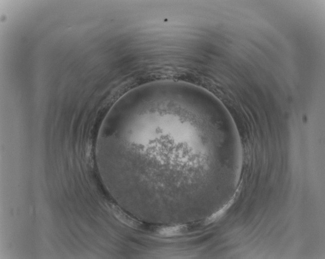 X0000074340178200609011637