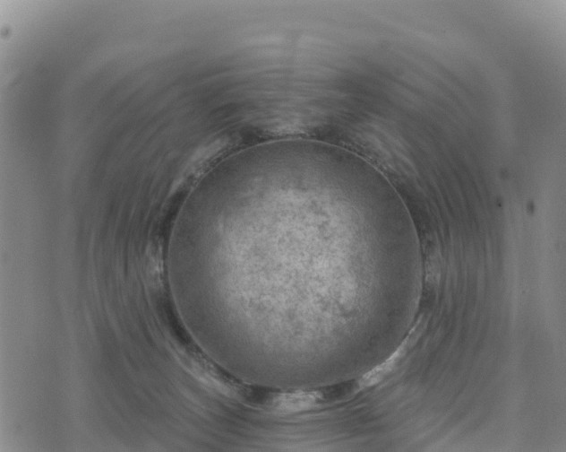 X0000074340179200609011637