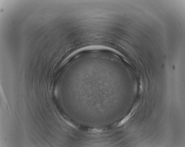 X0000074340180200609011637