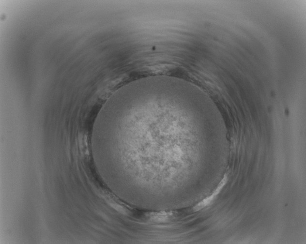 X0000074340182200609011637