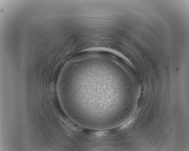 X0000074340184200609011637