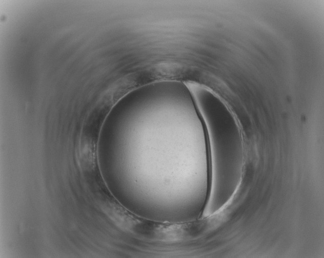 X0000074340186200609011637