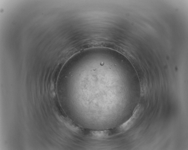 X0000074340187200609011637