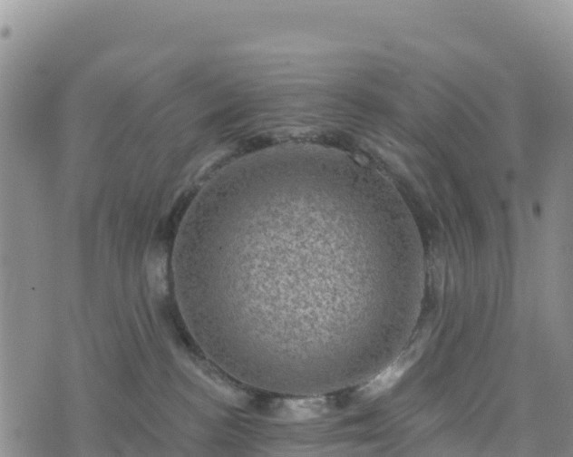 X0000074340188200609011637