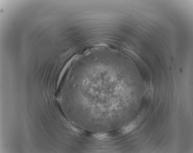 X0000074340189200609011637