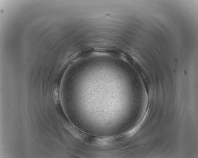 X0000074340190200609011637