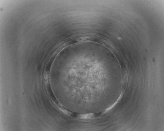 X0000074340191200609011637