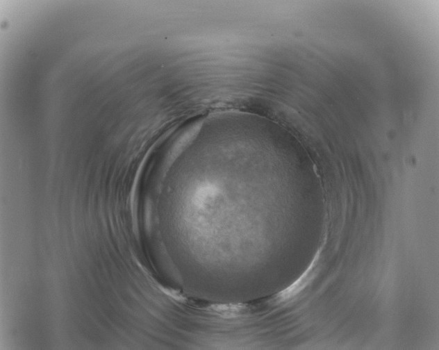 X0000074340192200609011637