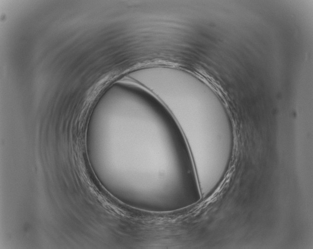 X0000074340193200609011636