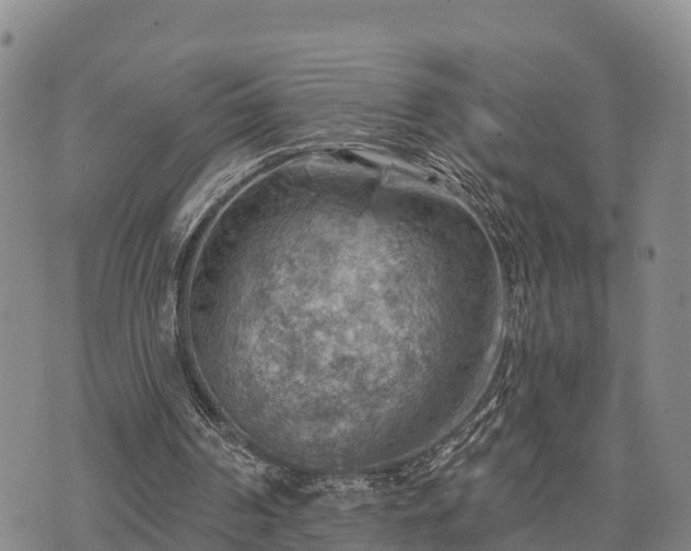 X0000074340194200609011636