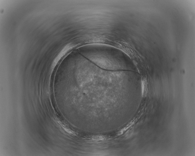 X0000074340195200609011636