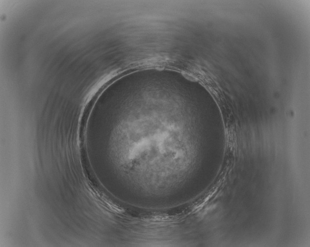 X0000074340196200609011636