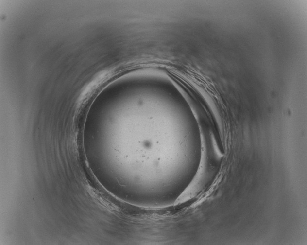 X0000074340197200609011636