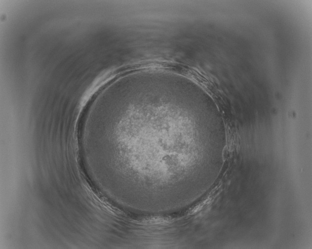 X0000074340198200609011636