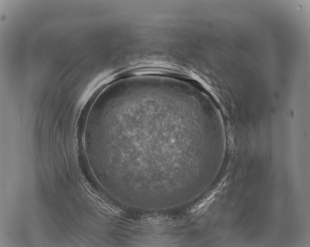 X0000074340199200609011636