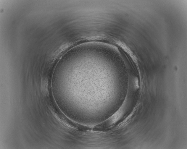 X0000074340201200609011636