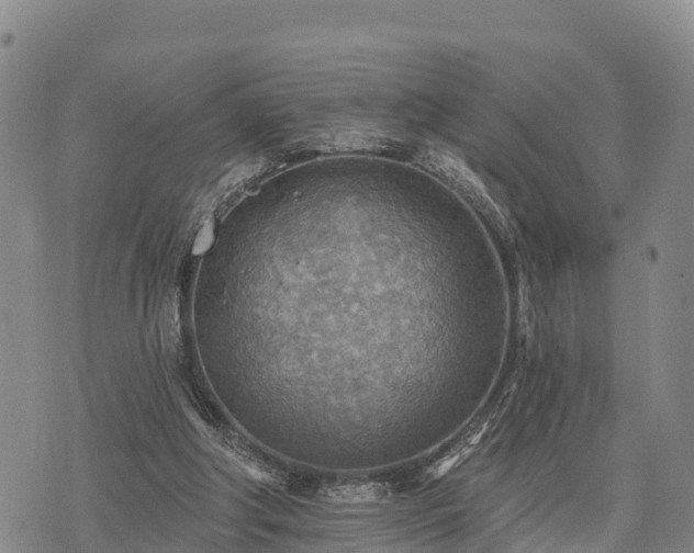 X0000074340202200609011636